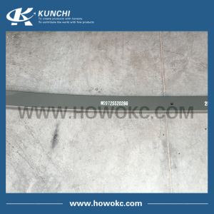 Cúlbhuille Earraigh 2ú Píosa WG9725520286-002 Fonnadh SINOTRUK 25 * 90 * 173